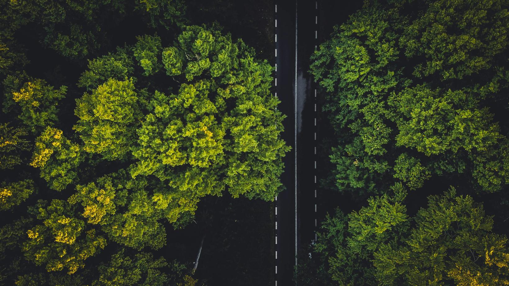 Bild von E-Mobilität Q3 2025: Plug-in-Autos überholen Benziner