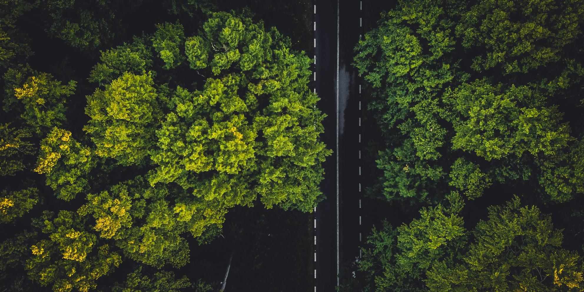 Bild von E-Mobilität Q3 2025: Plug-in-Autos überholen Benziner